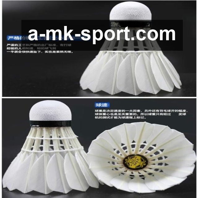 MK体育新版功能亮点解析：界面优化与使用体验全方位评测