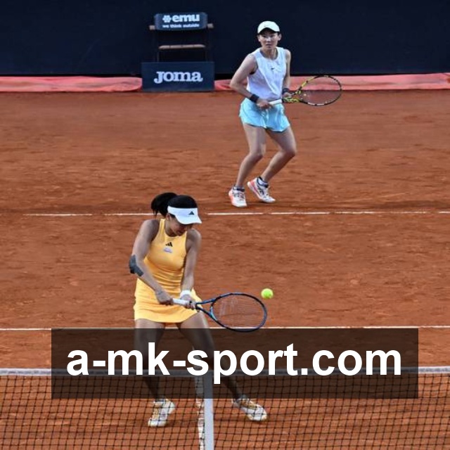 MK体育新版功能介绍：界面优化与核心亮点解析，提升用户使用体验