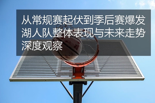 从常规赛起伏到季后赛爆发湖人队整体表现与未来走势深度观察