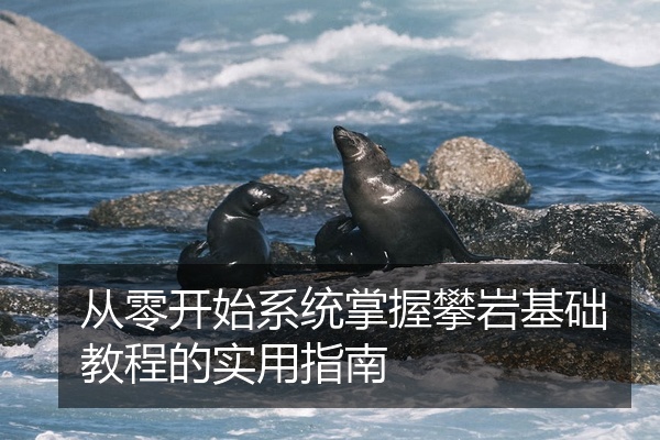 从零开始系统掌握攀岩基础教程的实用指南