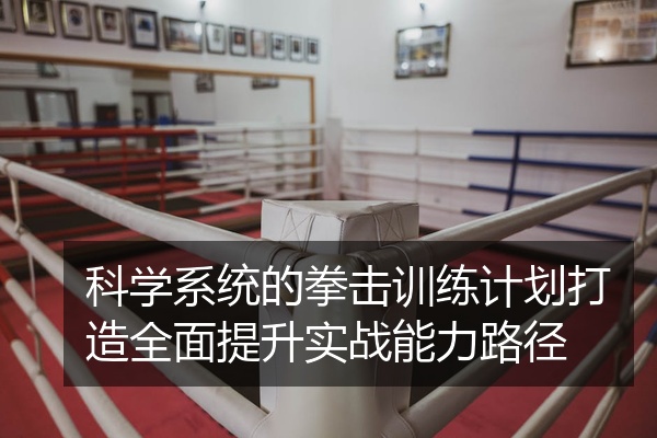 科学系统的拳击训练计划打造全面提升实战能力路径